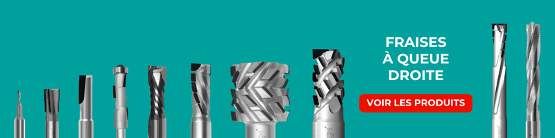 Fraises à queue droite